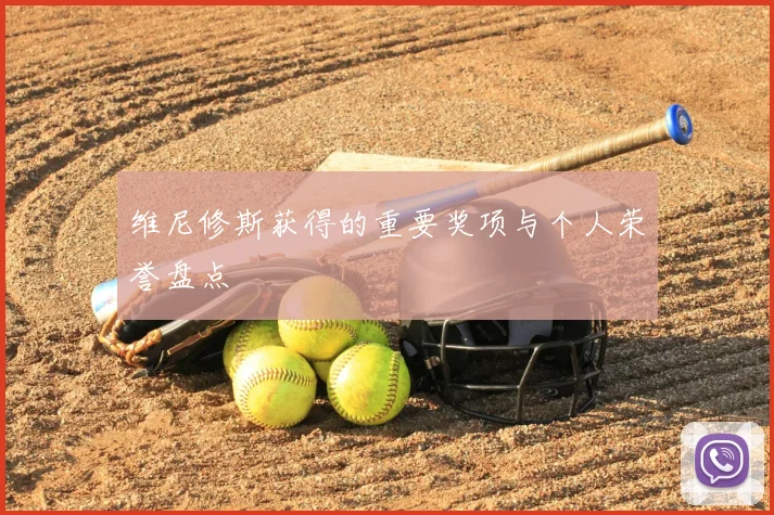 维尼修斯获得的重要奖项与个人荣誉盘点