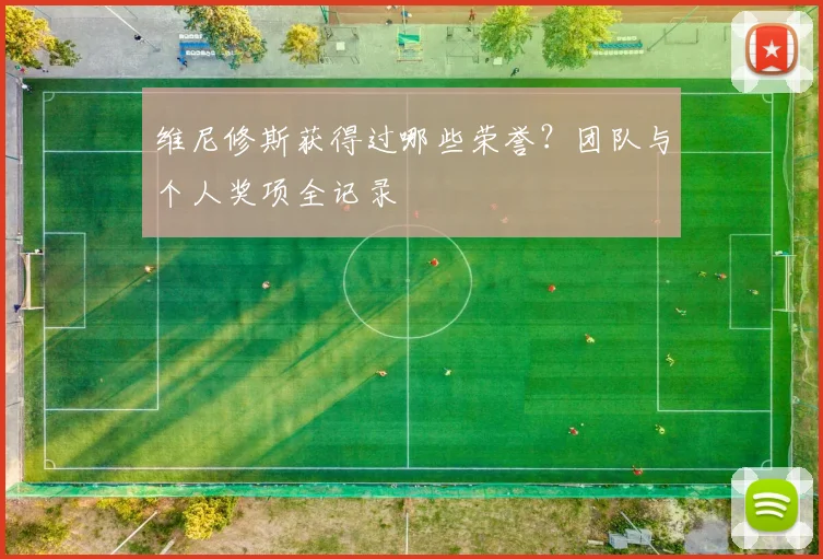 维尼修斯获得过哪些荣誉？团队与个人奖项全记录